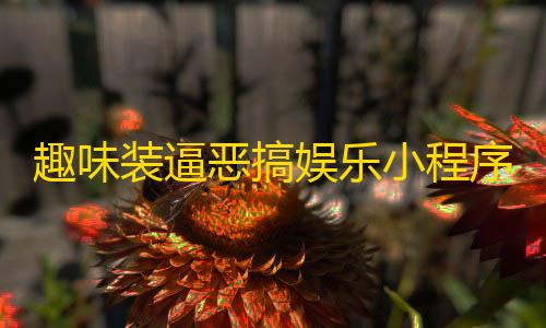 序源码支持流量主搞娱乐小程趣味装逼恶